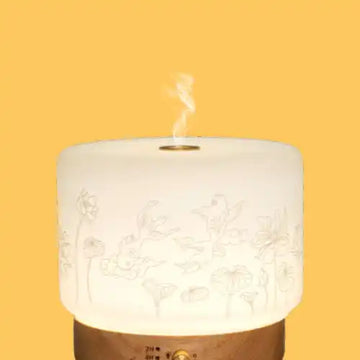Difuzoare aromaterapie