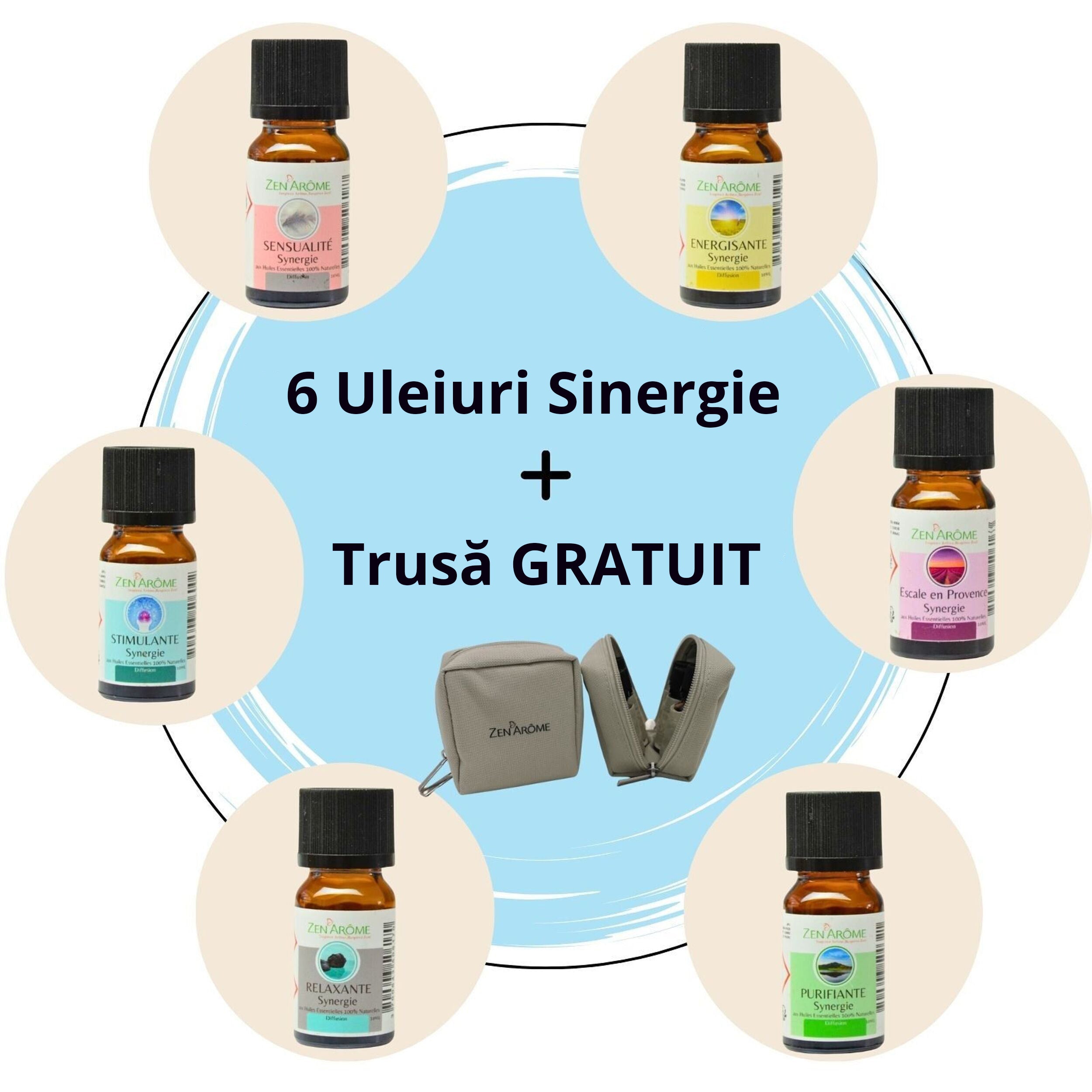 Kit 6 Sinergii Uleiuri Esentiale + Gratuit Trusă Stocare Sticlute - 10ml 100% Pur Natural Organic - PACK-SYN + TROUSSE6 - 1