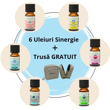 Kit 6 Sinergii Uleiuri Esentiale + Gratuit Trusă Stocare Sticlute - 10ml 100% Pur Natural Organic - PACK-SYN + TROUSSE6 - 1