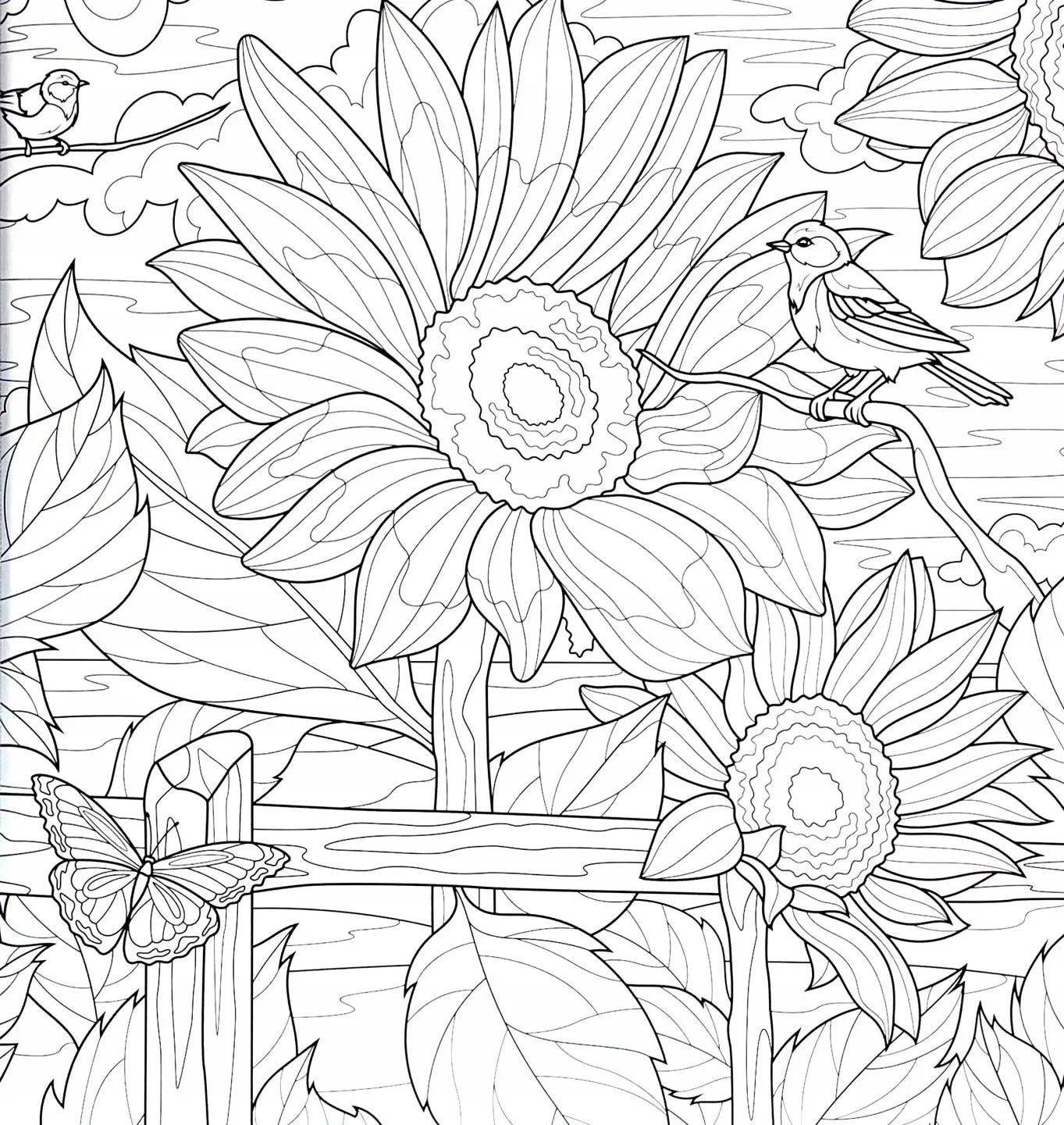 Set Carte de Colorat Antistres Mandala Botanicals + Trusă 72 Carioci cu Vârfuri Duble - 48 pagini 140 g/m² Finelinere 0.4 mm + tip Pensulă