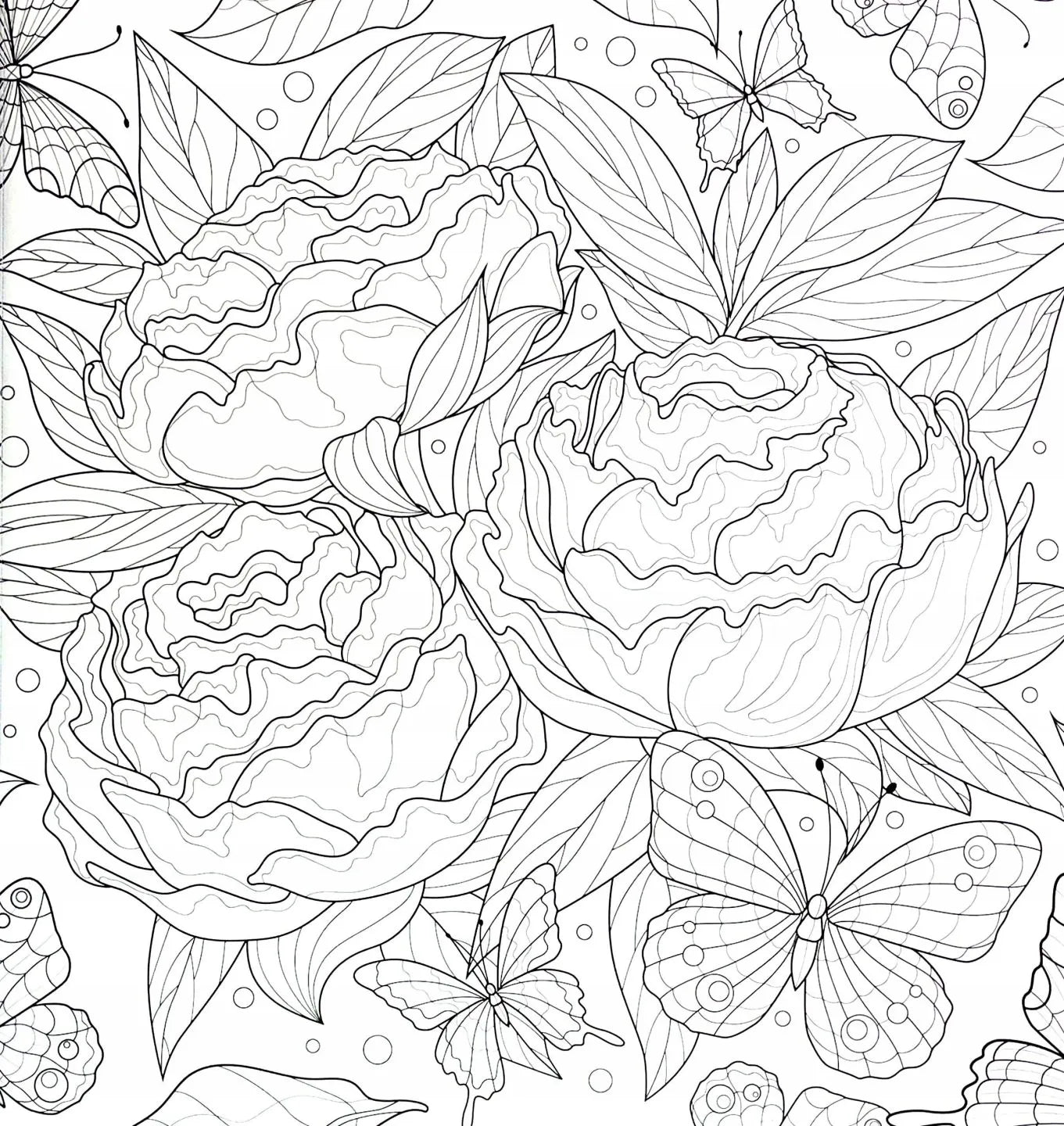 Set Carte de Colorat Antistres Mandala Botanicals + Trusă 72 Carioci cu Vârfuri Duble - 48 pagini 140 g/m² Finelinere 0.4 mm + tip Pensulă