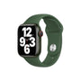 Curea Originala Sport Apple Watch MKU73ZM/A - S/M & M/L, 41/40/38 mm, Clover, Resigilat 