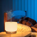 Difuzor Ultrasonic Aromaterapie & Umidificator Lisalia - Pana la 60m² 4 Moduri Lumina Ambientala Somn - 3827 - 3700471003827 - 27