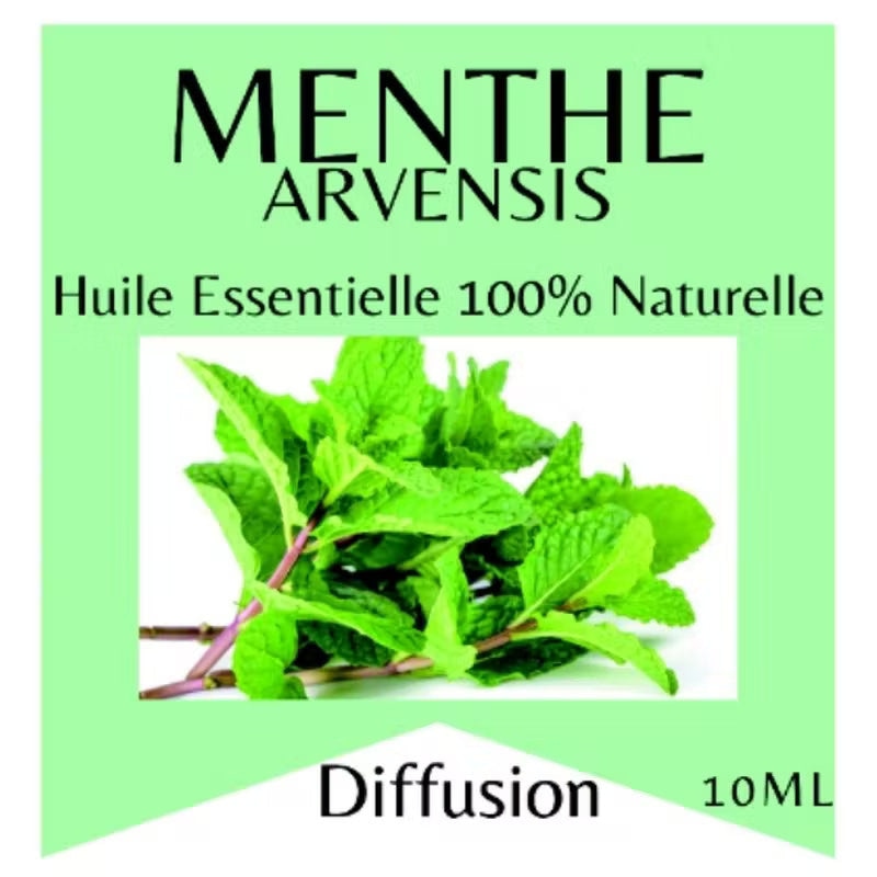 Ulei Esential Menta Salbatica 10ml - 100% Pur Natural Organic - HE_MEN - 3700643502813 - 2